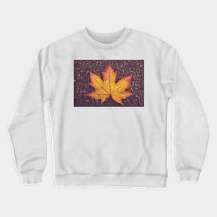 Fallen Star Crewneck Sweatshirt